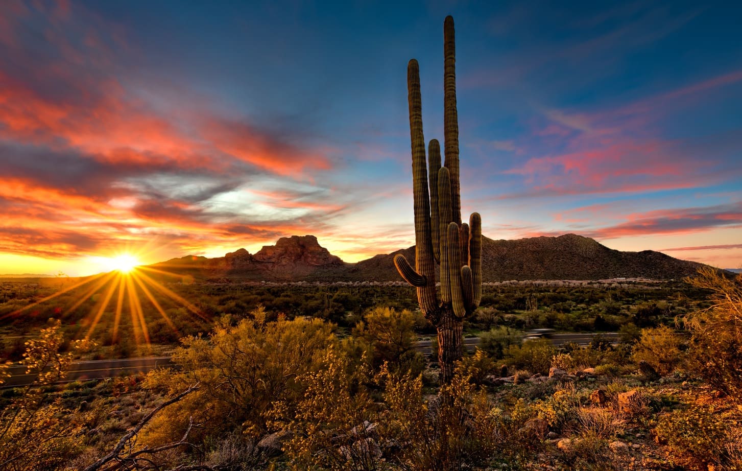 Arizona View #1